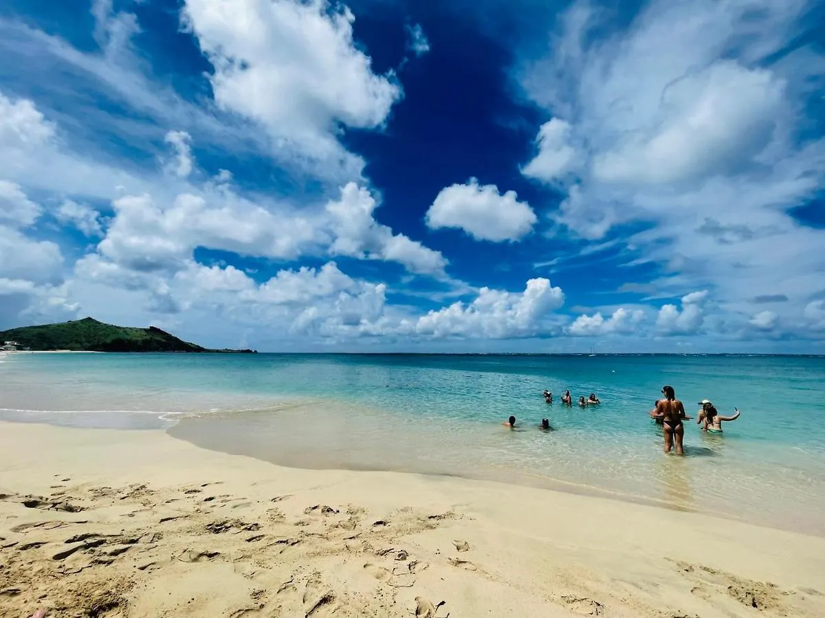 Studio A Saint-Martin Avec Piscine, Clim, Parking Et Acces Direct A La Plage - Fr-1-734-19 Куль-де-Сак